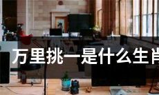 哪个生肖会成为万里挑一？