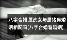 通过八字合婚,探究属虎女与属猪男的婚姻相宜程度