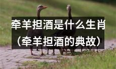 你知道“牵羊担酒”的典故来自于哪个生肖吗？