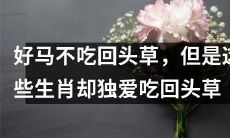 这些生肖明明知道好马不吃回头草，却独爱回头草，究竟是为什么呢？