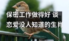 哪些生肖善于保守恋爱秘密能力？