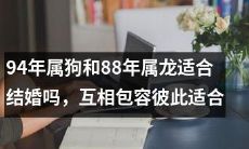 根据属相学说,94年属狗和88年属龙是否适合结婚?探讨互相包容的关键因素