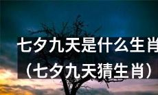 猜一猜，七夕期间，哪些生肖被称为九天？