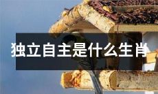 独立自主与生肖相关吗？探讨人们对于这一关系的认知和看法