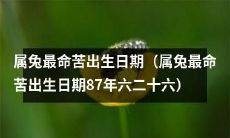 揭秘:属兔最倒霉的出生日期为1987年6月20日