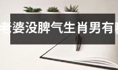 有哪些星座男人对自己的妻子温柔体贴，不易发脾气？