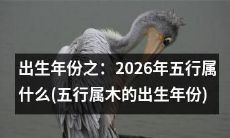 如果我的出生年份是2026年，并且我属于五行之一，那么按照五行理论，我应该属于哪一类呢？根据五行属木的出生年份来探究