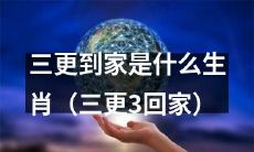 哪个属相的人会在凌晨三点回家(三更3回家)?