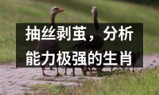 经历抽丝剥茧磨炼的生肖，具备高度分析能力与洞察力的特点