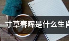 寸草春晖是哪一年出生的生肖？