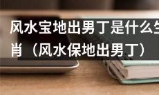 哪些生肖在风水宝地中更容易生育男孩?(What zodiac signs are more likely to produce baby boys in auspicious places of feng Shui?)