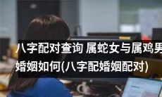 如何查询属蛇女与属鸡男的八字配对情况并预测其未来婚姻发展趋势？（八字配对查询技巧）