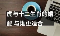 哪个生肖最适合和老虎进行婚配，探讨十二生肖与虎缘分的默契程度