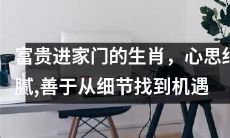 探究生肖中富贵进门的特质：细腻心思、善于细节透视与机遇把握
