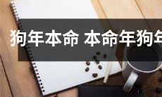 狗年本命的人在狗年迎来了本命年