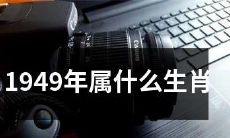请问1949年出生的人属于哪个生肖？