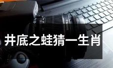 井底之蛙试图猜测指定的生肖，但他的视野受限且知识有限，将会面临极大的困境