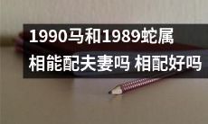 1990马和1989蛇属相之间是否适合结为夫妻？它们的相配程度如何？