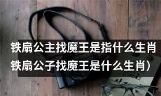 寻找魔王的铁扇子公主,你知道她所对应的生肖是什么吗?