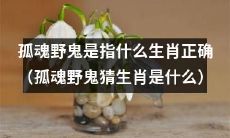 您是否了解正确的孤魂野鬼指代的是哪个生肖，快来猜猜看吧！