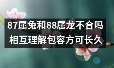 如何使87属兔和88属龙相互理解、宽容，从而建立长久的关系？
