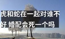 结合一对虎蛇的人类婚配不仅会导致其中一方的死亡,而且对整个家庭和社会也会产生不良影响