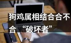 鸡年与狗年融合是否会成为“毁灭者”？
