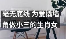 十二生肖之一，毫无底线地以爱为名撬墙角成为小三的女性