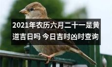 查询2021年农历六月二十一是否为黄道吉日,以及针对今日凶时和吉时的查询