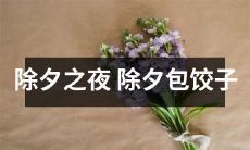 除夕之夜的传统：全家团聚包饺子，享受温馨亲情和传统佳节氛围