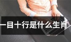 哪些动物属于一目十行的生肖等级？