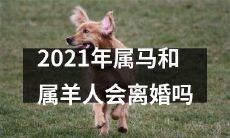 2021年属马和属羊人是否会面临婚姻破裂的风险？