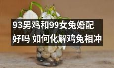 如何处理鸡兔相克的问题？在93男鸡和99女兔婚配方面，有什么需要注意的地方吗？