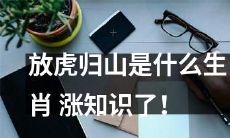 了解生肖的文化："放虎归山"象征什么动物？视野大开！