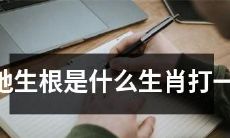 什么生肖会落地生根？请打出一个生肖