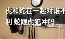 虎蛇同居对周围环境产生不良影响，两者之间存在领地争夺与竞争关系吗？
