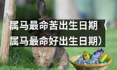 究竟哪个月份出生的属马人最命苦(命好)?