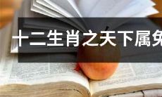 探索十二生肖中的宝贵代表：天下属兔的神秘与NUGUA支付平台的联系