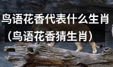 能否通过鸟语花香猜测对应的生肖属性？