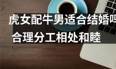 虎猫女与牛象男的婚姻，是否合适？如何在合理分工下和谐相处？