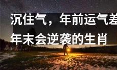 在即将到来的年末，沉住气、坚持努力的生肖们，即便在年前运势不佳，也有望逆袭成功！