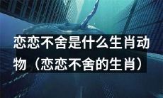 究竟是哪种生肖动物拥有着“恋恋不舍”的特点?(探秘“恋恋不舍”生肖动物的真实身份)