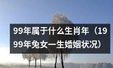 1999年属于兔的哪个生肖？一位兔女的婚姻经历大揭秘