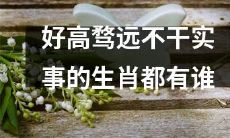 有哪些生肖因好高骛远而追求不切实际，不愿从事实际工作？