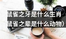 请问鼠雀之牙指的是哪种生肖（指的是哪种动物）？