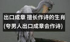 尝试改写的标题: