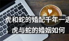 千年一遇的虎蛇婚配:探究虎与蛇夫妻关系的多方面因素