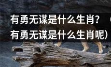 究竟哪个生肖是指有勇无谋的呢？