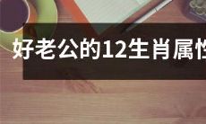 12生肖如何成为一位好丈夫:探析好老公必备的属性