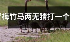 青梅竹马，两小无猜，猜猜这个生肖是什么？